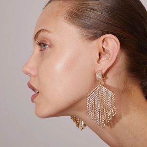 Zara Gold and Silver Statement Earrings